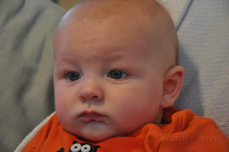 William's Eighteenth Week 05.jpg